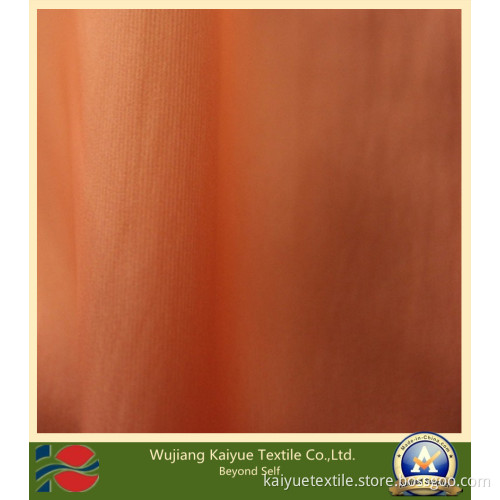 370t 2/1twill Nylon and Polyester Fabric (WJ-KY-788)